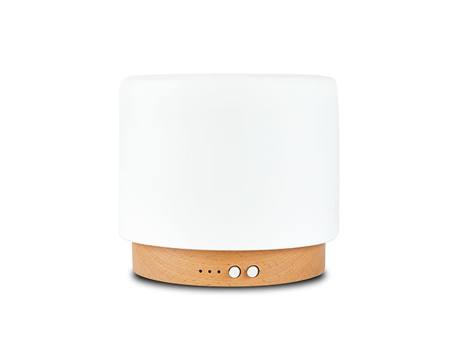M5BT Buba-Color Luxury Art Metal Ultrasonic Diffuser With Light